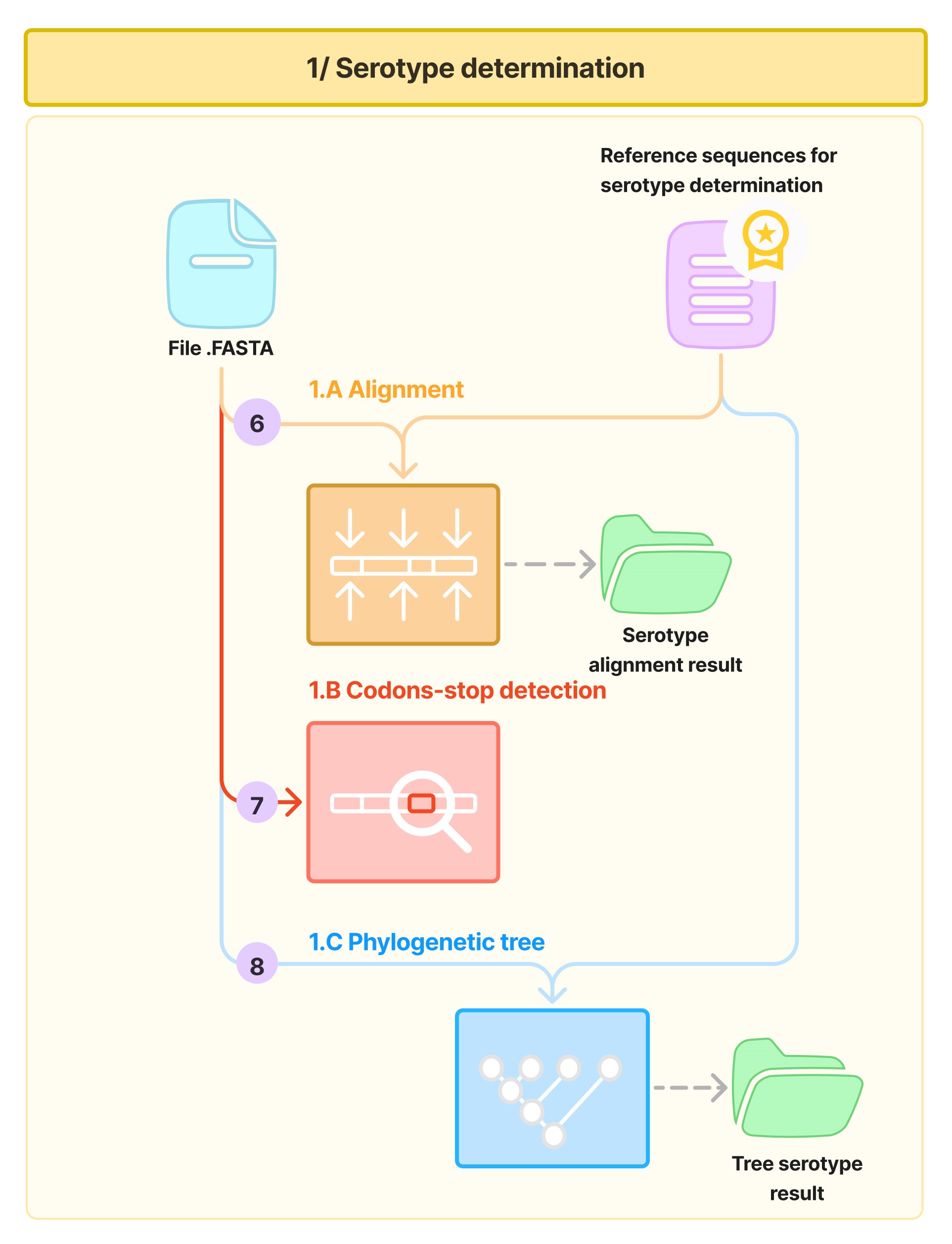 Serotype determination process