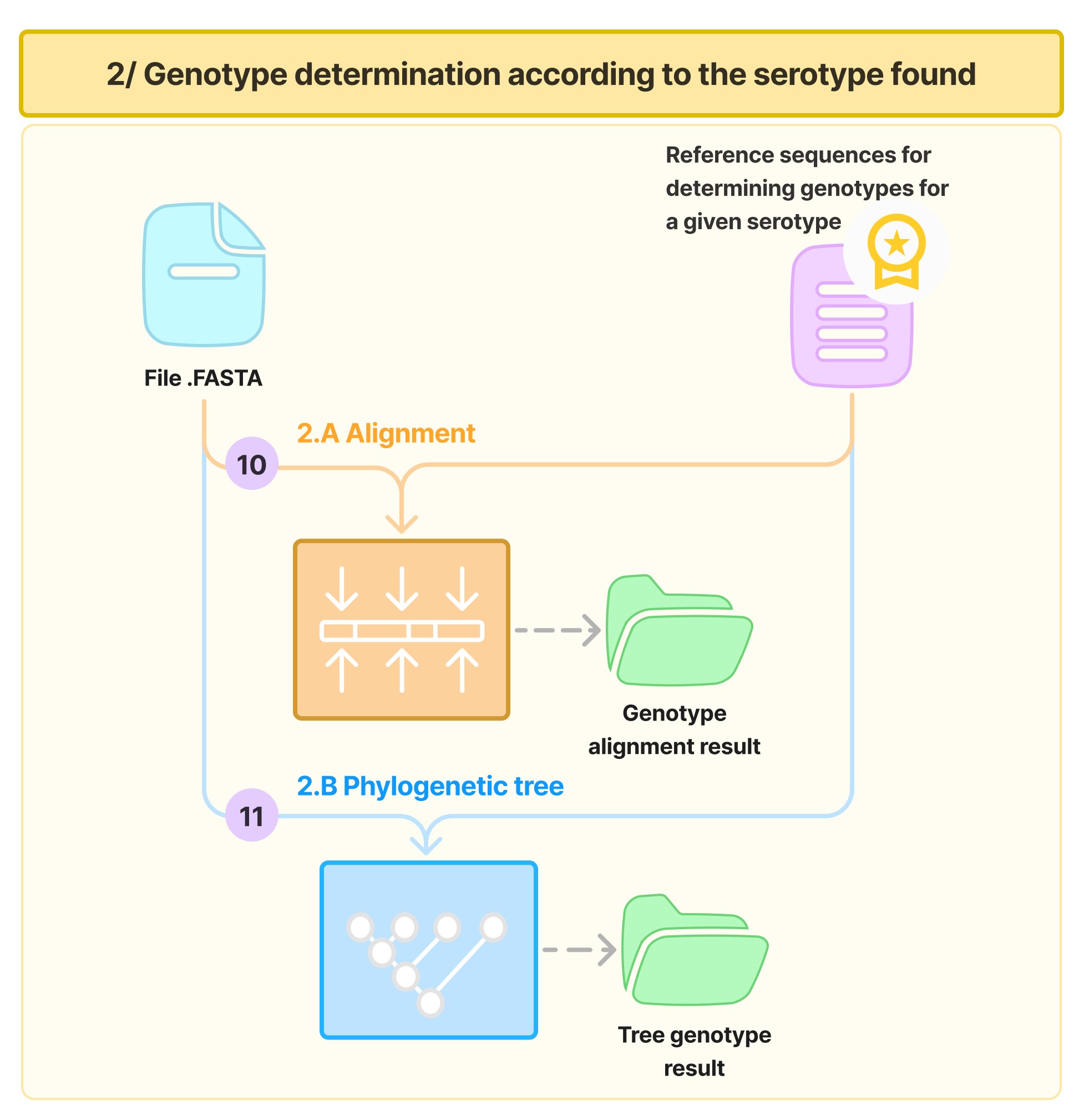 Genotype determination process